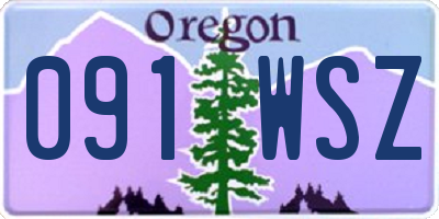 OR license plate 091WSZ