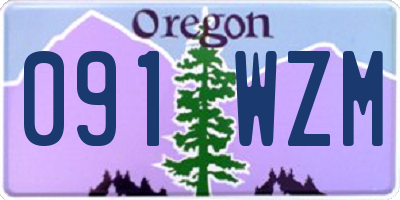 OR license plate 091WZM