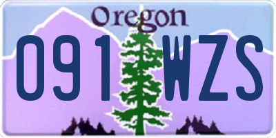 OR license plate 091WZS