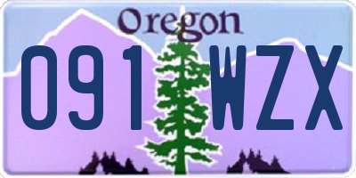 OR license plate 091WZX