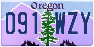OR license plate 091WZY