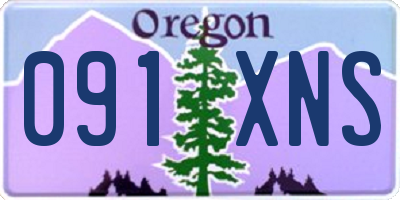 OR license plate 091XNS