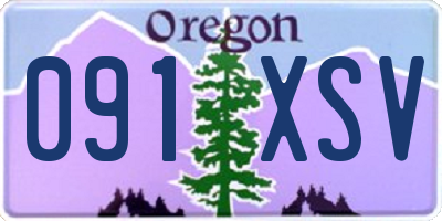 OR license plate 091XSV