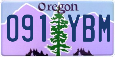 OR license plate 091YBM