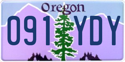 OR license plate 091YDY