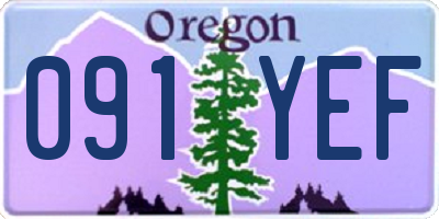 OR license plate 091YEF