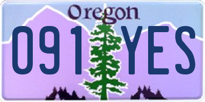 OR license plate 091YES