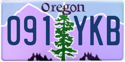 OR license plate 091YKB
