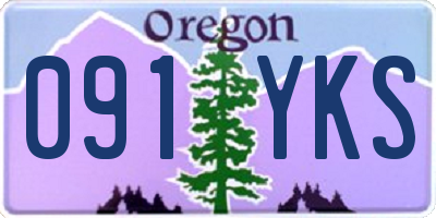 OR license plate 091YKS