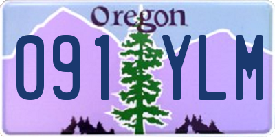 OR license plate 091YLM