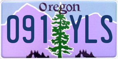 OR license plate 091YLS