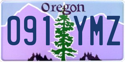 OR license plate 091YMZ