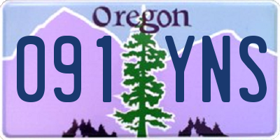 OR license plate 091YNS