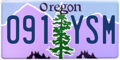OR license plate 091YSM