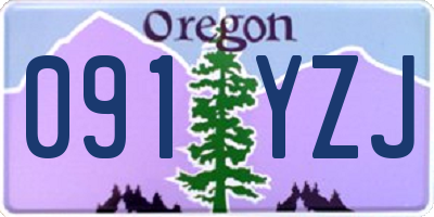 OR license plate 091YZJ