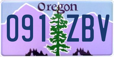 OR license plate 091ZBV