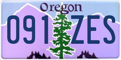 OR license plate 091ZES