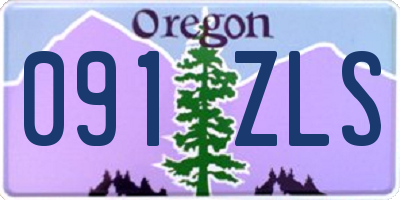 OR license plate 091ZLS