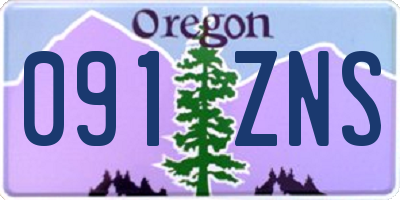 OR license plate 091ZNS