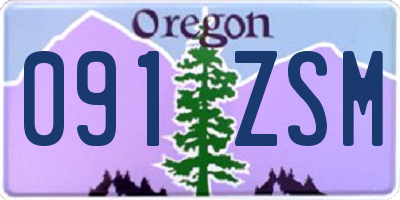 OR license plate 091ZSM