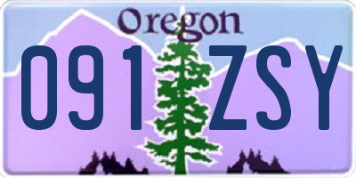 OR license plate 091ZSY