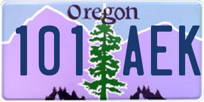 OR license plate 101AEK