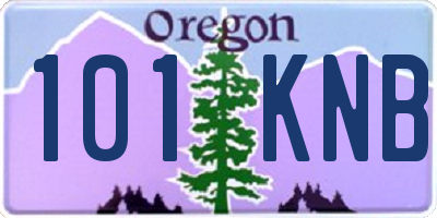 OR license plate 101KNB