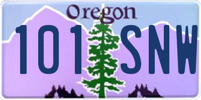 OR license plate 101SNW
