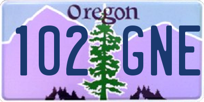 OR license plate 102GNE