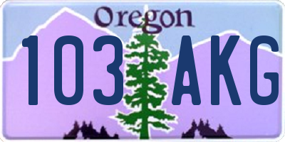 OR license plate 103AKG