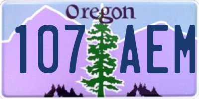 OR license plate 107AEM
