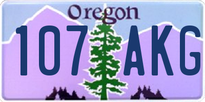 OR license plate 107AKG