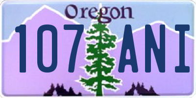 OR license plate 107ANI