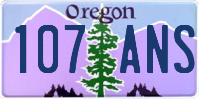 OR license plate 107ANS