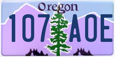 OR license plate 107AOE