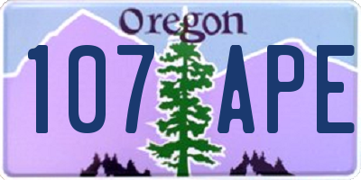 OR license plate 107APE