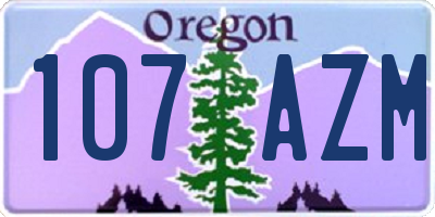 OR license plate 107AZM
