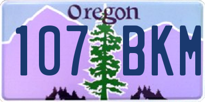 OR license plate 107BKM