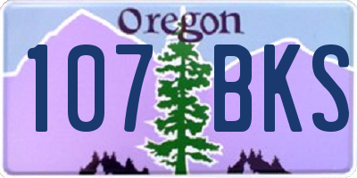 OR license plate 107BKS