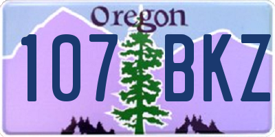 OR license plate 107BKZ
