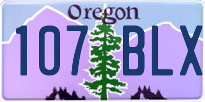OR license plate 107BLX