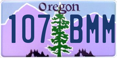 OR license plate 107BMM
