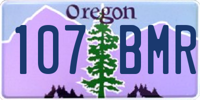 OR license plate 107BMR