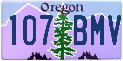 OR license plate 107BMV