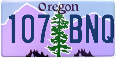 OR license plate 107BNQ