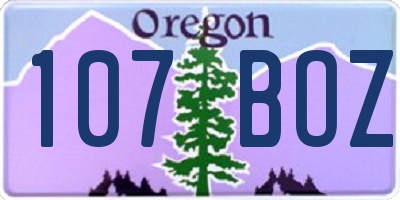 OR license plate 107BOZ