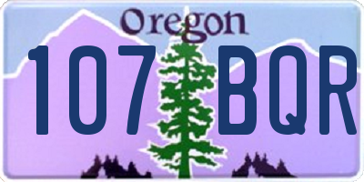 OR license plate 107BQR