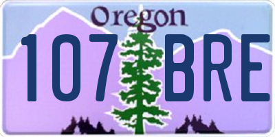 OR license plate 107BRE