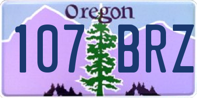 OR license plate 107BRZ