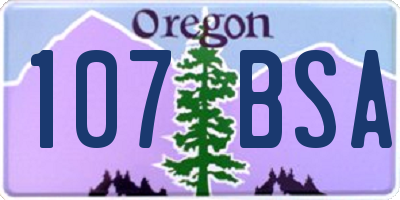 OR license plate 107BSA